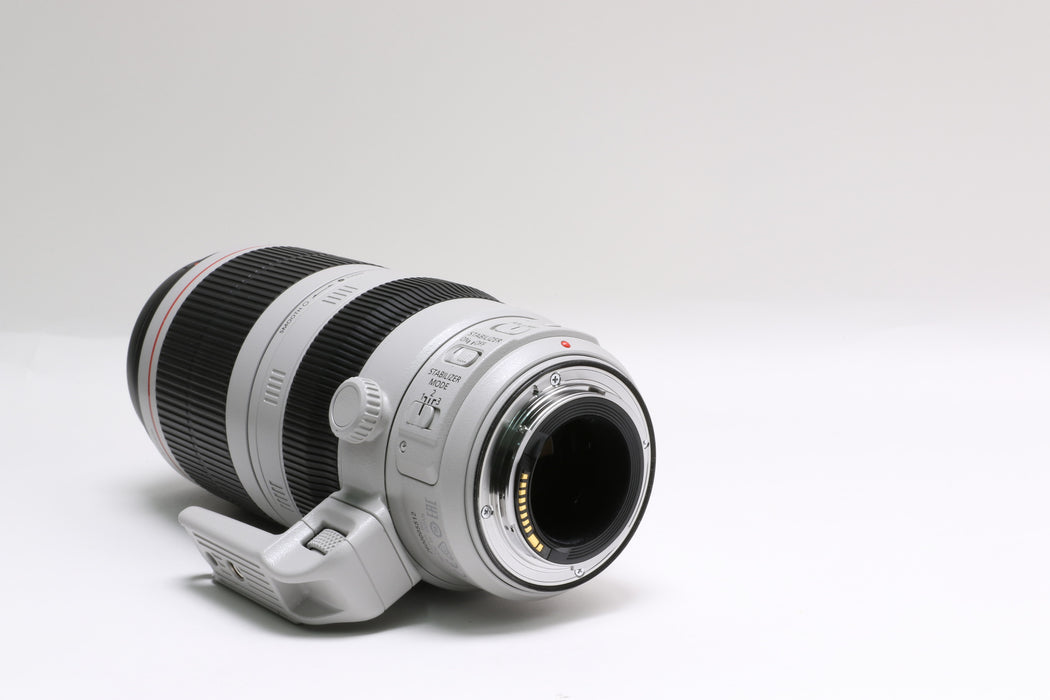 Canon EF 100-400mm f/4.5-5.6 L IS II USM Zoom Lens, 9524B002