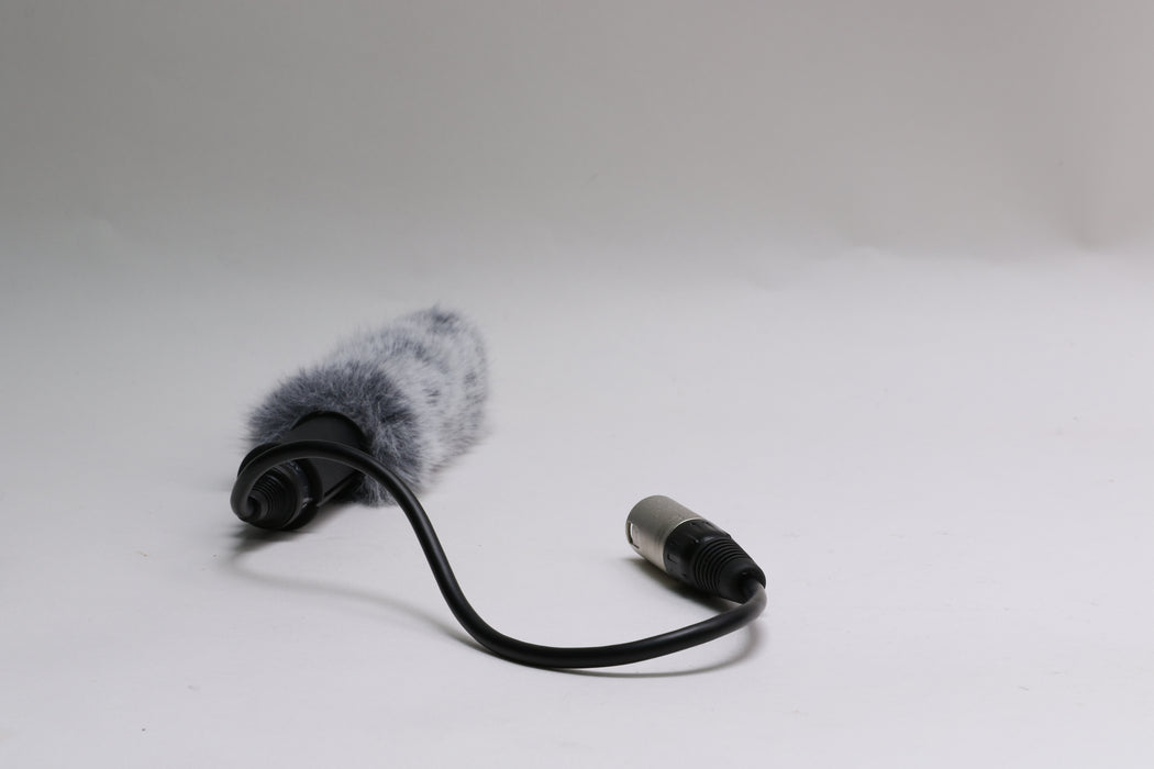 Sony ECM-XM1 XLR Microphone w/ Windscreen! — photo 2 of 3
