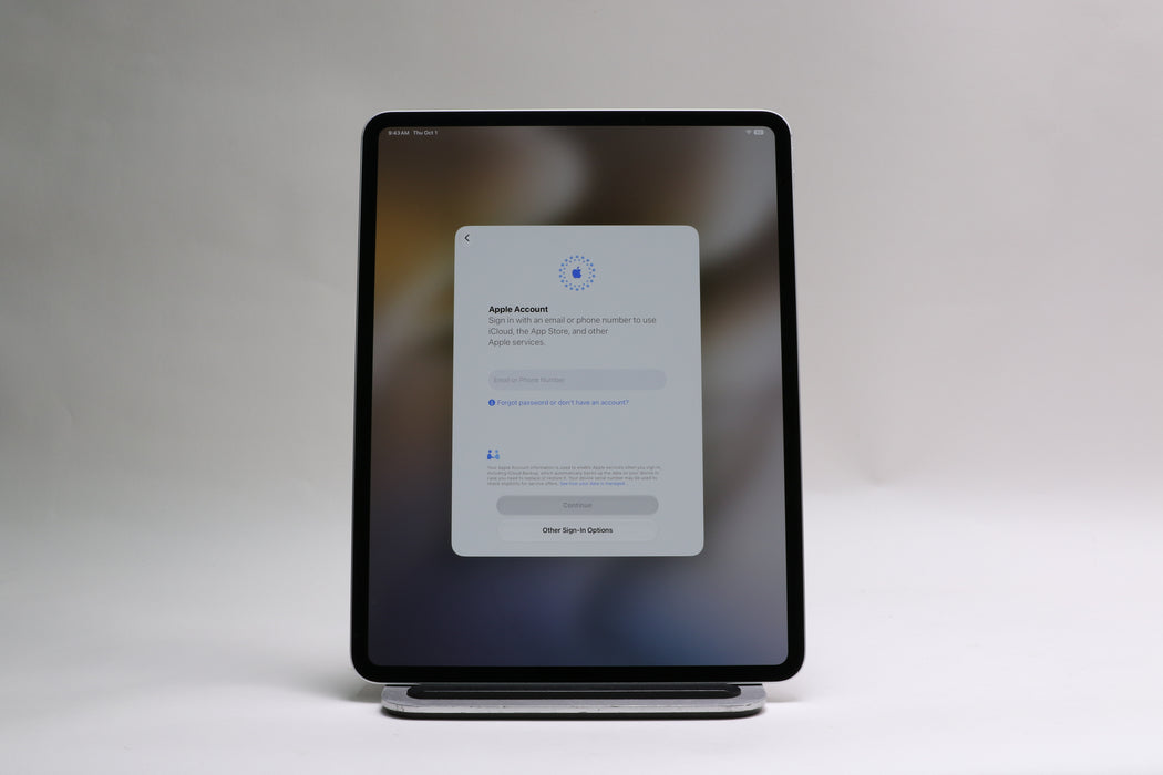 13" Apple iPad Pro M4, 1TB, Wi-Fi Only, Silver, NVX73LL/A