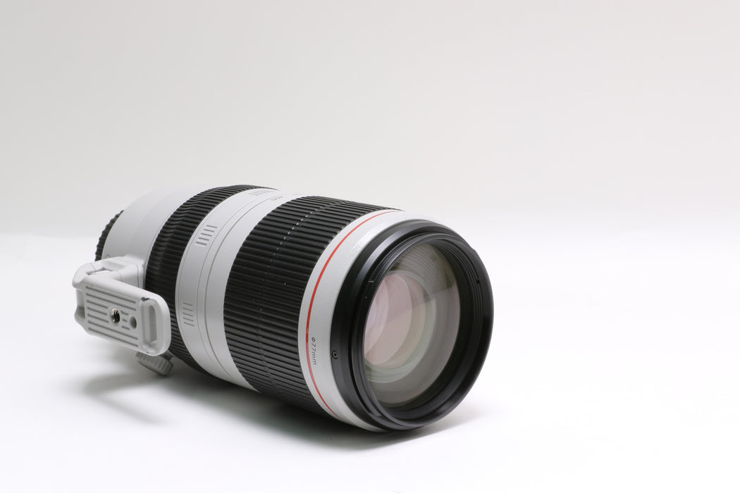 Canon EF 100-400mm f/4.5-5.6 L IS II USM Zoom Lens, 9524B002